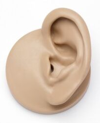 KB0071 – KEMAR Ohr für 45CA