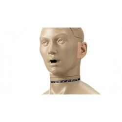 45BC – KEMAR Head & Torso mit Mundsimulator, unkonfiguriert